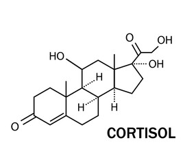  Cortisol hormone icon. Chemical molecular structure of hydrocortisone on a white background. Vector illustration. © Regina