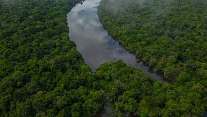AMAZON RIVERS IN THE PERUVIAN JUNGLE, THEY CLEARLY SHOW THE MEANDERS, THE AMAZON AND THE NANAY ARE...