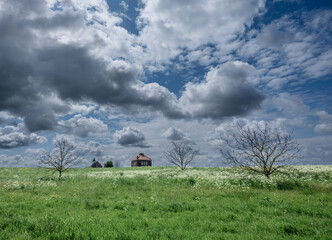 Obraz premium Schokland haven, Noordoostpolder, Flevoland province, The Netherlands