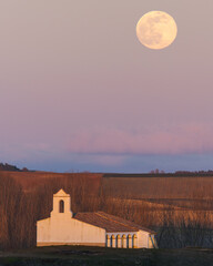 Fototapeta premium iglesia con luna llena.