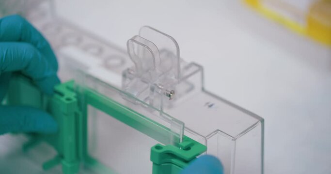 Scientist Working in Medical Laboratory Cancer Research Covic 19 Pandemic