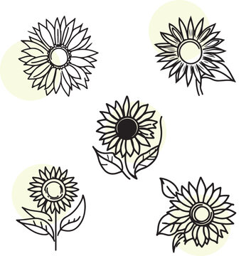 Set of  flowers line art illustrations. Hand drawn black ink style sketch.
