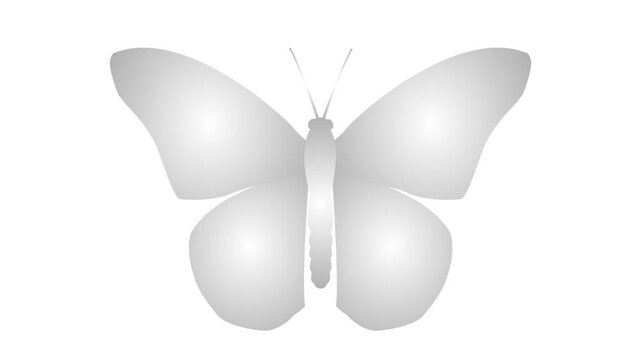 Animated silver butterfly flaps wings. Looped video. Flat vector illustration isolated on white background.