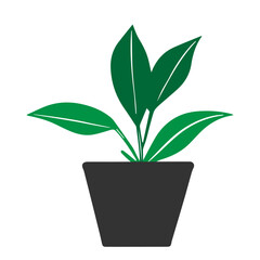 Green outline hand drawing vector illustration of a decorative plant Dieffenbachia in a gray pot isolated on a white background