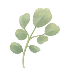 Obraz premium Flower watercolor