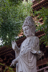 Fototapeta premium statue of buddha