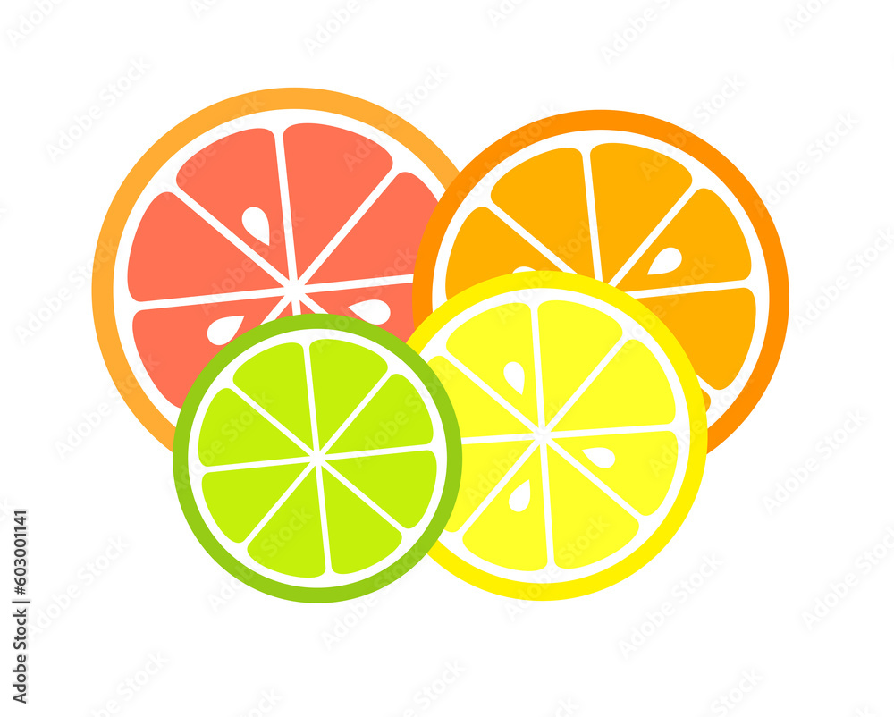 Wall mural citrus fruit slices. png illustration - Wall murals