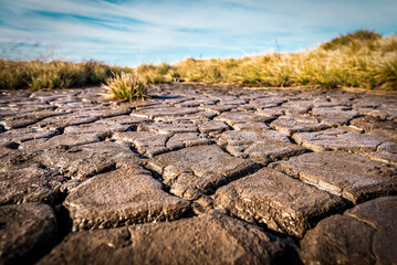 Cracked clay ground into the dry season , Effects of global warming