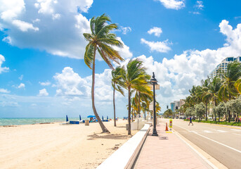 Beach promenade with palm trees on a sunny day in Fort Lauderdale - obrazy, fototapety, plakaty
