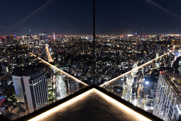 Obraz premium tokyo skyline at night horizontal view