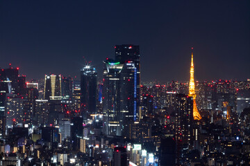 tokyo skyline at night horizontal view