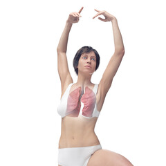 3D Rendered Medical Illustration of Female Anatomy - the lungs. © Sebastian Kaulitzki