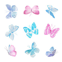 Fototapeta na wymiar Butterflies, colorful butterflies, insects, pastel butterfly , pink , blue , watercolor illustration 