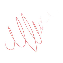 Scribble Illustration