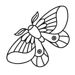 Fototapeta na wymiar Coloring page - night butterfly. Vector outline illustration