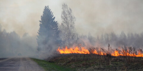 Fire and smoke on the countryside road