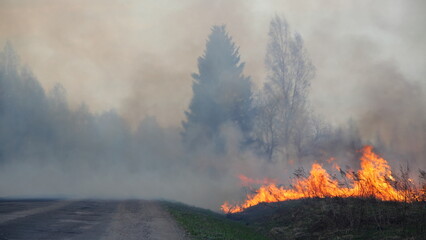 Smoke over the countryside road with fire on roadside.