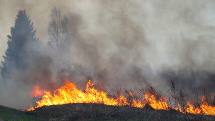 Wild fire and black smoke on the field with burning dry grass