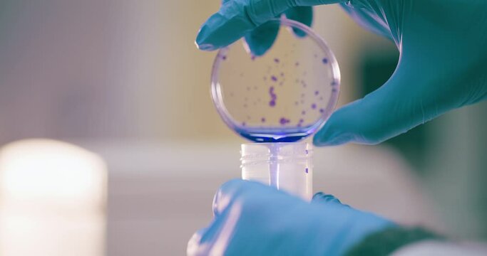 Scientist Working in Medical Laboratory Cancer Research Covic 19 Pandemic