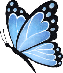 butterfly watercolor hand-drawing png