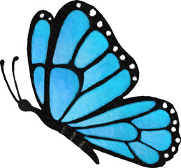 butterfly watercolor hand-drawing png