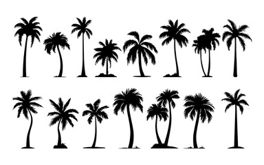 Palm Trees Set isolated on white background. Vector tropical palms silhouettes collection for design, web, illustrations.