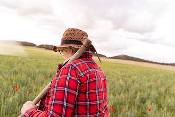 Obraz premium The grandmother dressed in a straw hat and red plaid shirt holds her hoe and walks through the fields.