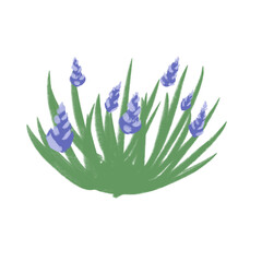 Flower cute vintage hand draw valentines .png