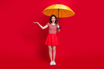 Full length photo of excited lovely person arm hold empty space catch raindrop umbrella isolated on red color background