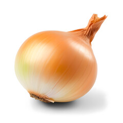  Fresh onion bulb isolated on transparent white background