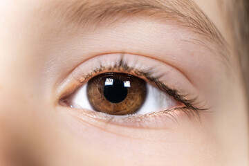 Macro brown eye of a 5-year-old kid. Pediatric ophthalmology