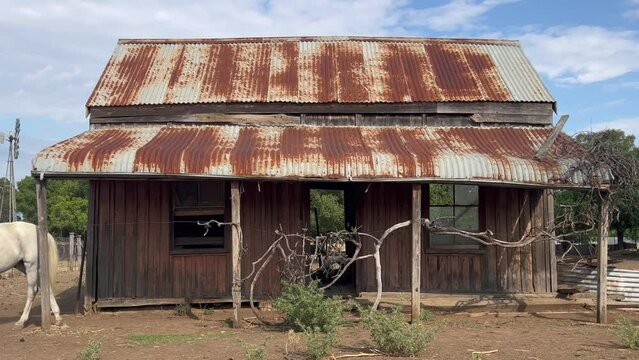 White horse in an abandoned farm house in the outback of New South Wales, Australia.