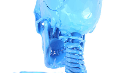 3d medical illustration of a man's skull and cervical spine. low poly style.