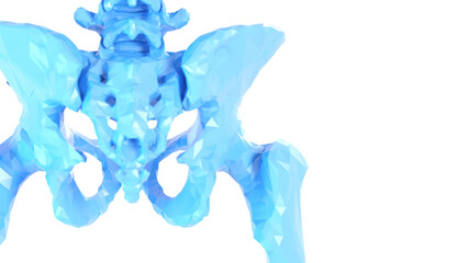 3d medical illustration of a man's pelvis. low poly style