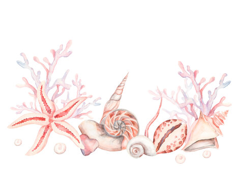 Marine colorful composition with shells, starfish, corals, cone shells, pearl. Perfect for postcards