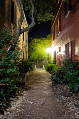 The haunted Philadelphia Alley in Charleston, South Carolina at night illuminated by the light of the buildings.