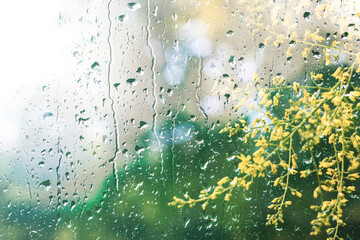 Condensation on a windowpane, spring background