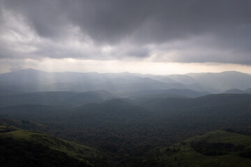 Rain aerial view to forest, dark weather