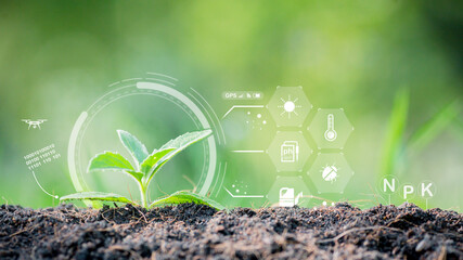 Agricultural growth concept Check the soil and plants. Including the use of artificial intelligence agricultural technology in technology green background with icons - obrazy, fototapety, plakaty