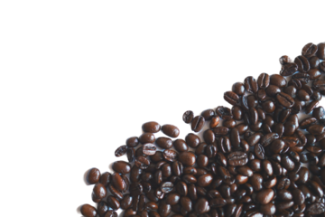 coffee bean material with transparent background