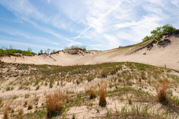 Fototapeta na wymiar Landscape at Warren Dunes.