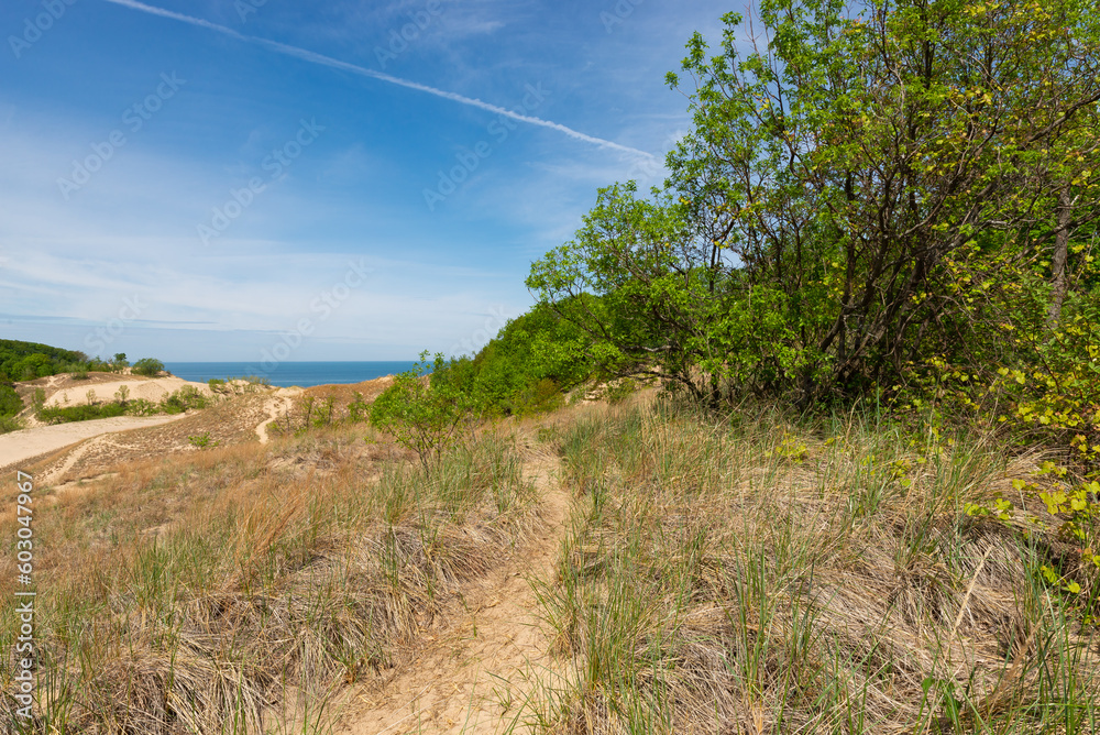 Poster Landscape at Warren Dunes.