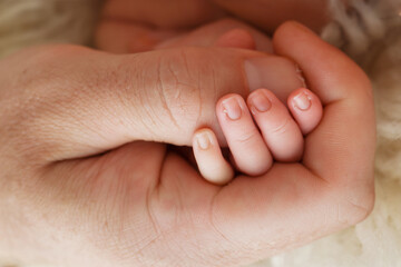 Close-up of a small hand of a child and the hand of mother and father. A newborn baby after birth holds tightly, squeezes the thumb of its parents. 