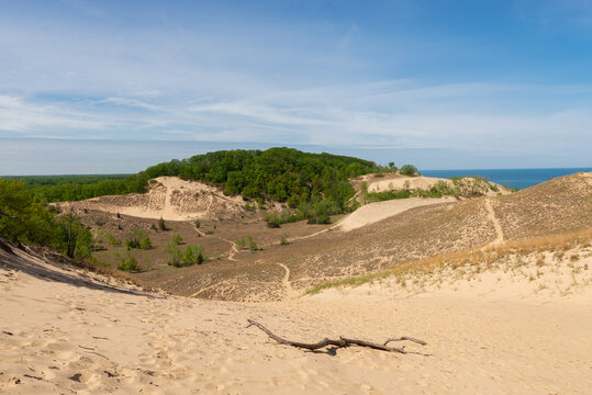 Landscape at Warren Dunes.