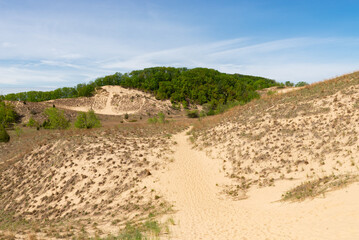 Landscape at Warren Dunes.