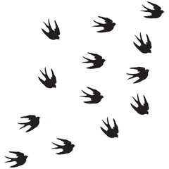 Obraz premium swallow logo vector illustration design template.