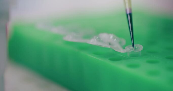 Scientist Working in Medical Laboratory Cancer Research Covic 19 Pandemic
