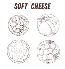 Soft cheese in plates top view sketch. Hand drawn vector illustration. Soft cheese collection.