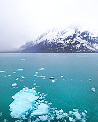 Glacier Bay National Park, Alaska, USA. Iceberg Bits Floating on Ocean