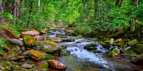 Curtis Creek near Curtis Creek Campground in the Pisgah National Forest North Carolina.